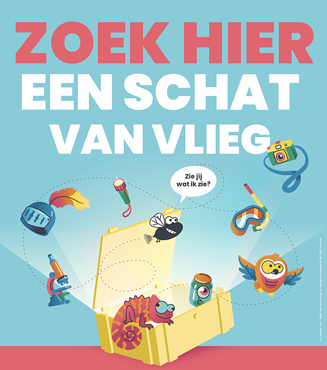 Zoek hier een schat van vlieg afbeelding