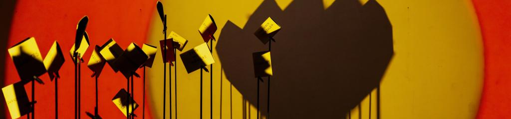 beeld De Warmste Week 2025