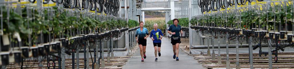 lopers die door een serre lopen tijdens editie 2024