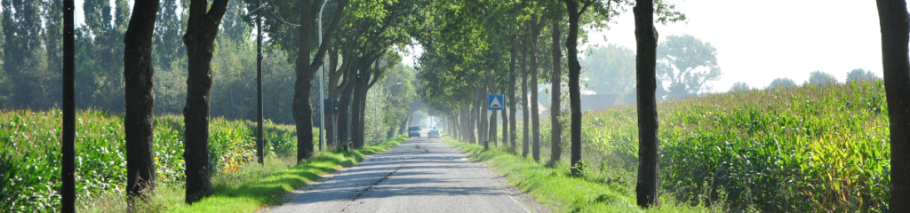 Zonevreemde woningen