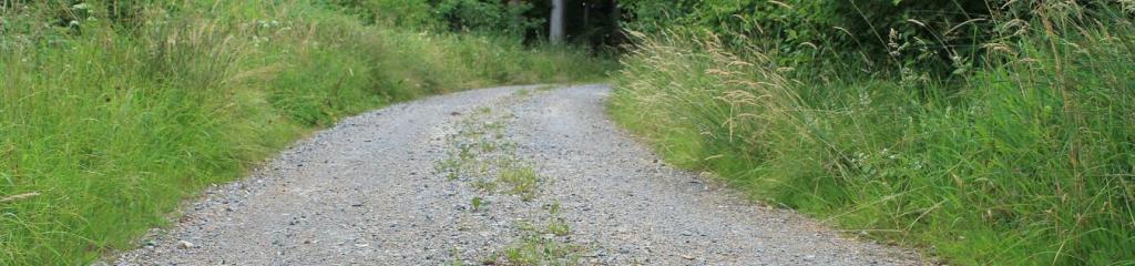 Hazen- en konijnentocht