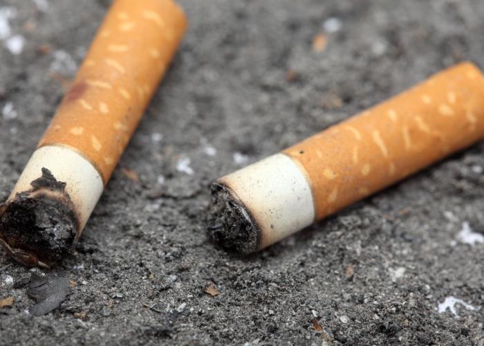 Rijkevorsel voert strijd tegen zwerfvuil op met extra controles van OVAM-handhavers