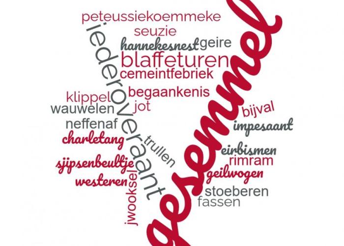 En het Schoonste Veusselse Woord is... 'gesemmel'!