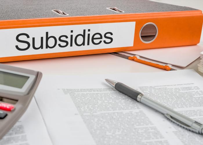 Overzicht gemeentelijke premies en subsidies