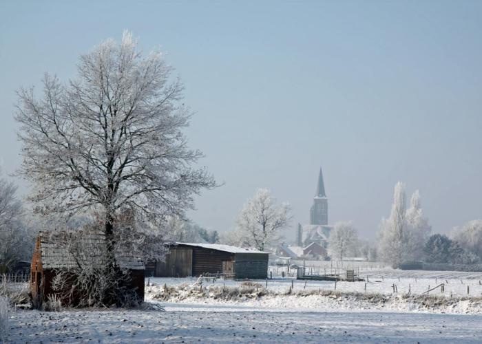 Winterdienst 2024-2025