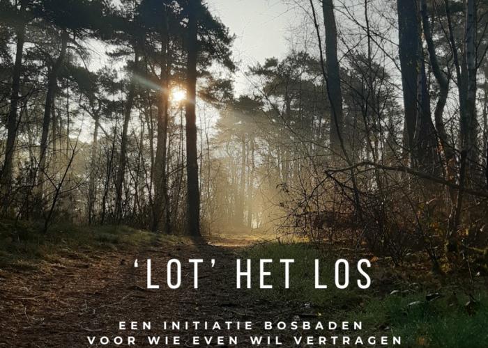 Lot Coaching