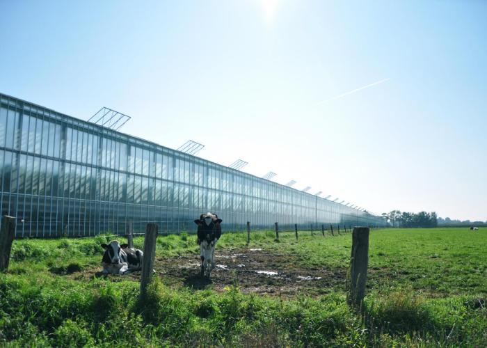 Oproep! Landbouwprijs 2025