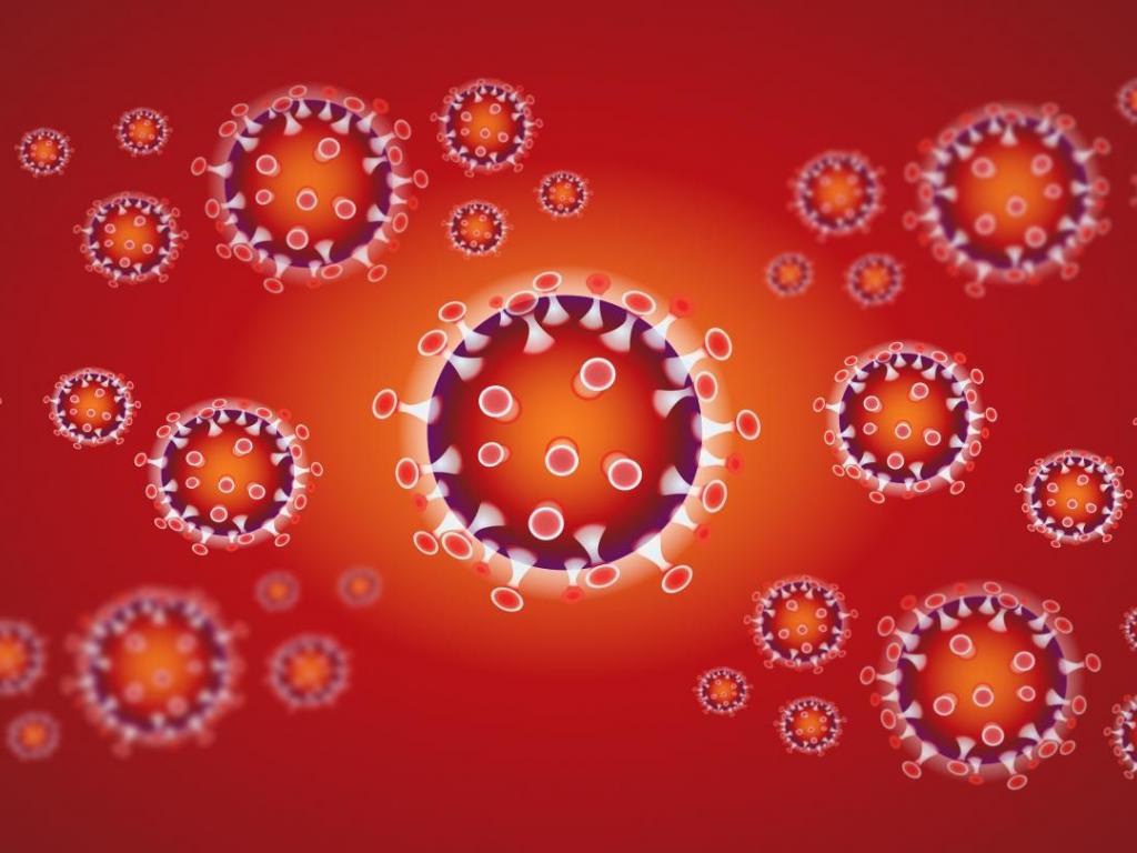 Maatregelen Coronavirus Covid 19 Rijkevorsel
