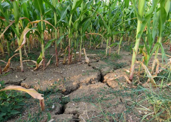 Aangifte materiële schade na een natuurramp