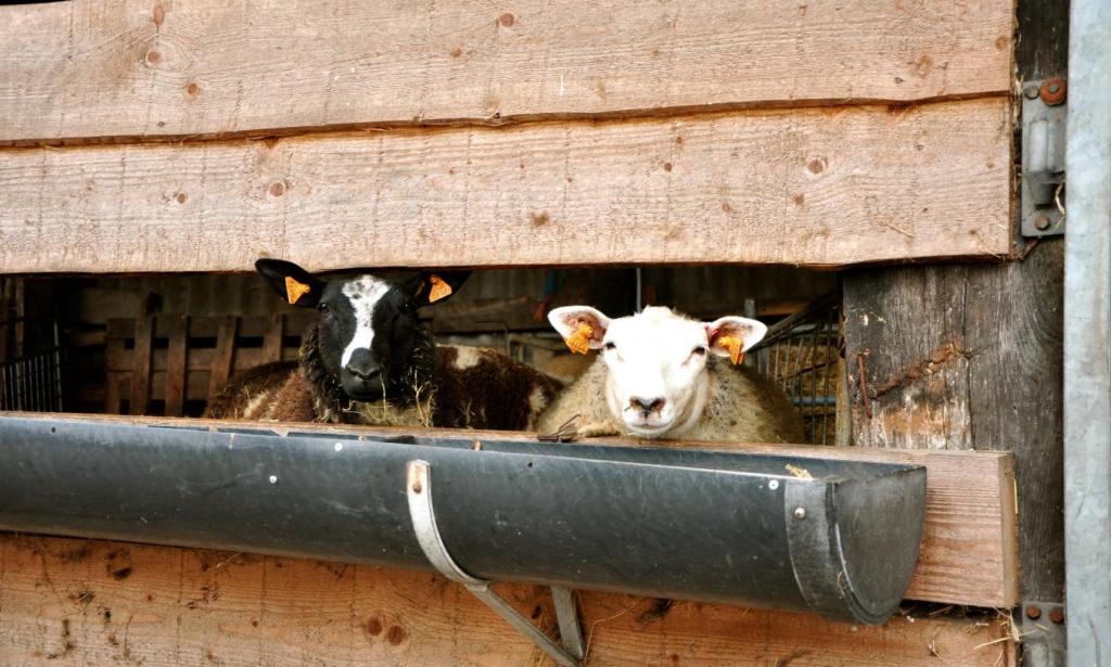 LEADER zoekt vernieuwende ideeën voor het platteland