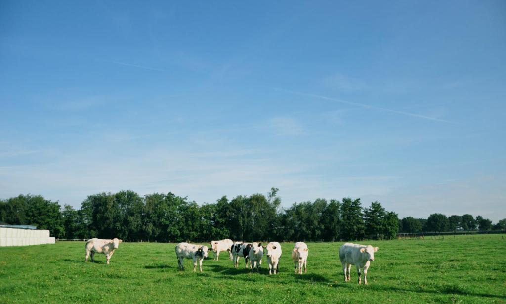 Oproep! Landbouwprijs 2025