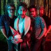 Green Crow Collective © Green Crow Collective