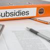 Overzicht gemeentelijke premies en subsidies